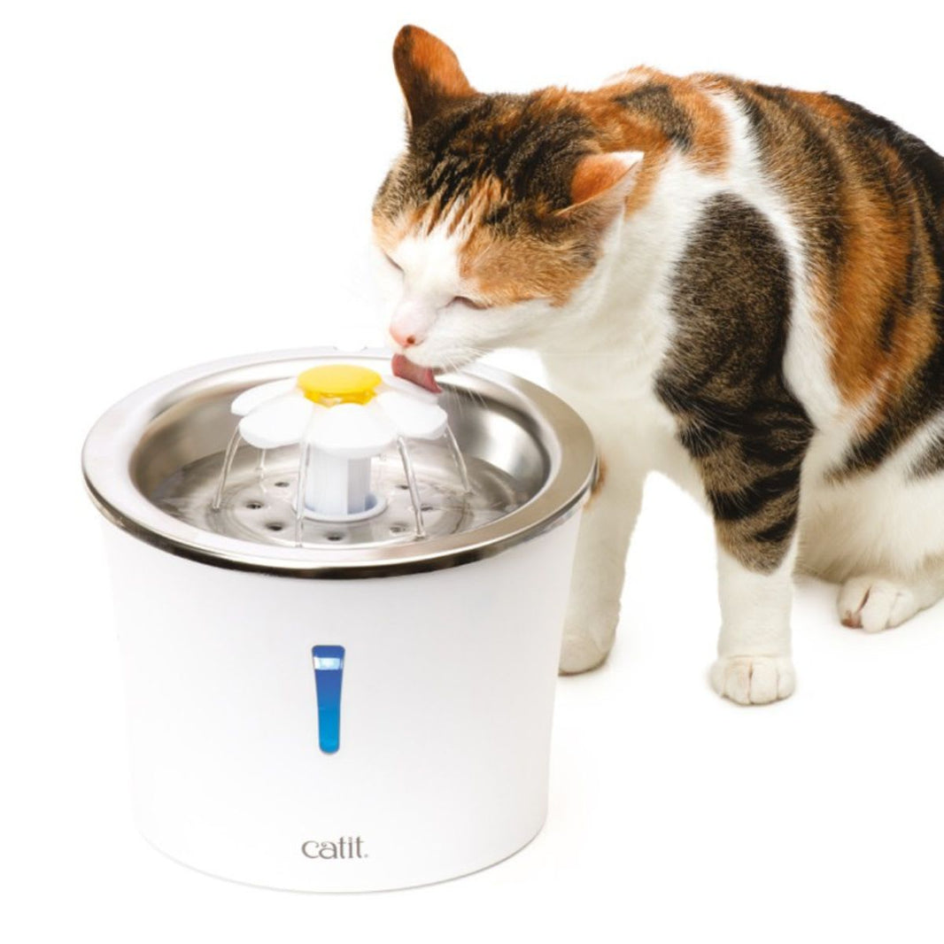 CAT IT FUENTE DE AGUA - ACERO INOXIDABLE