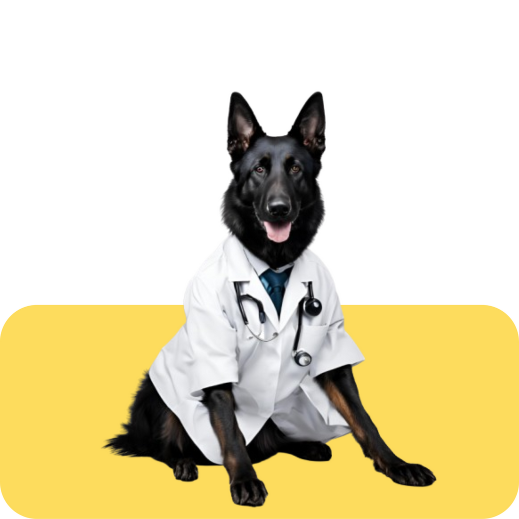 Suscripción Anual "Secure Dog"