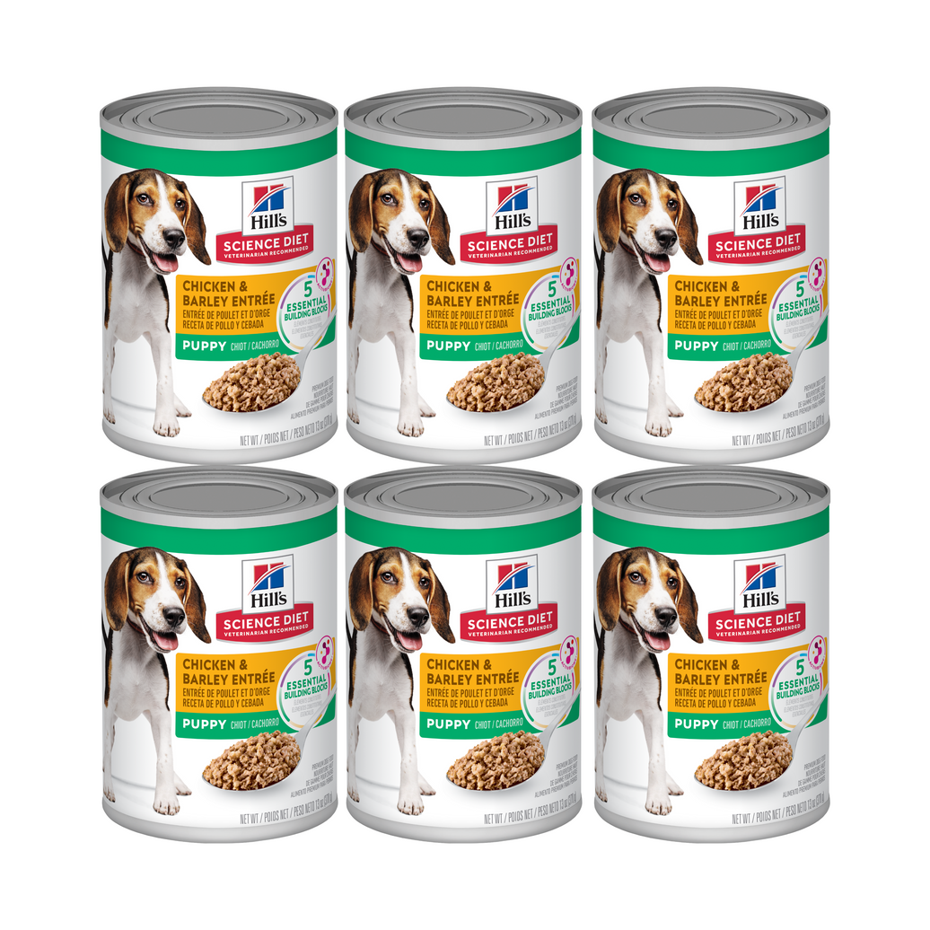 SD CACHORRO 369 G SIXPACK